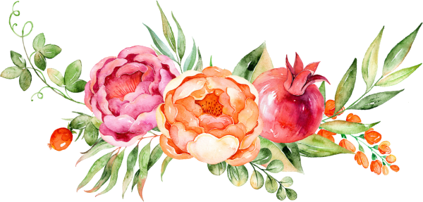 Пионы акварель оранжевые