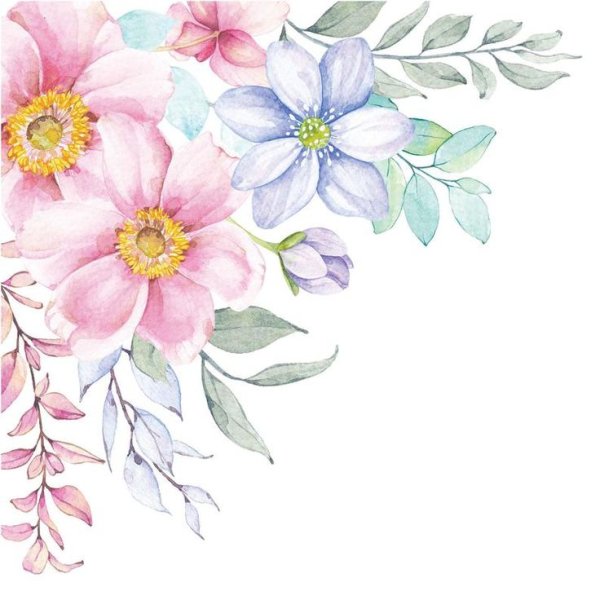 Цветы акварель уголок