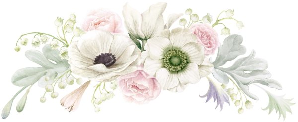 Нарисованные цветы на белом фоне