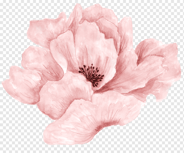 Прозрачные Акварельные цветы