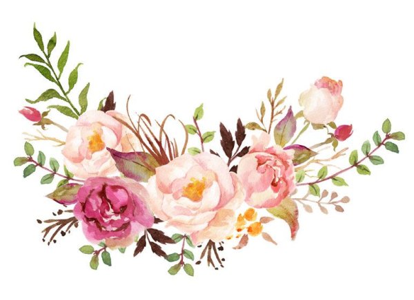 Цветочный уголок акварель