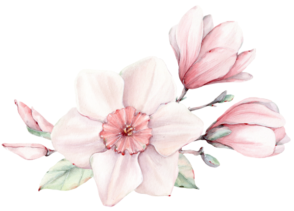 Цветы акварелью на белом фоне