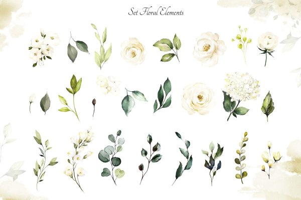 Белые цветы акварель