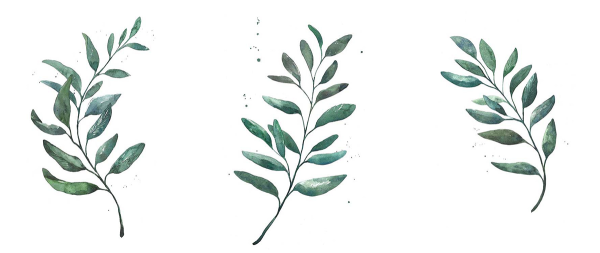 Листья акварель