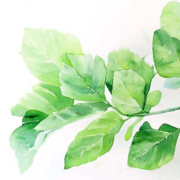 Листва акварель