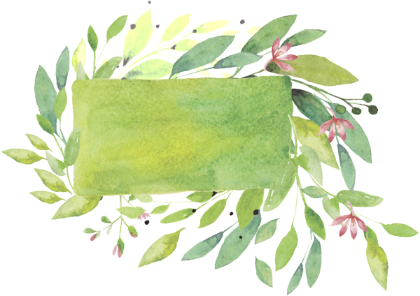 Акварельные цветочные рамки