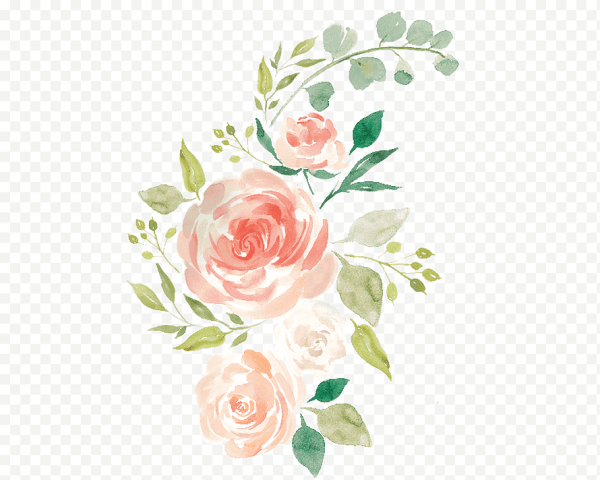 Акварельные цветы на прозрачном фоне