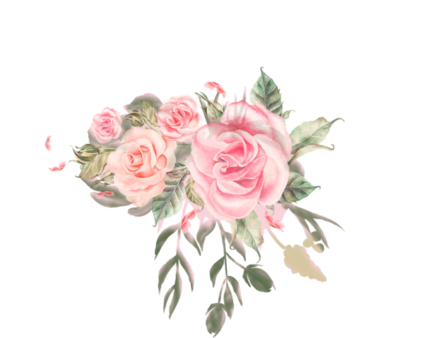 Акварельные розы