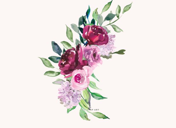 Пионы акварель