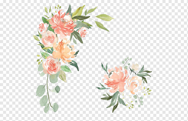 Персиковые цветы акварель