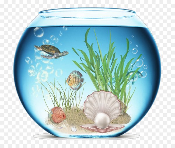 Аквариум для дошкольников