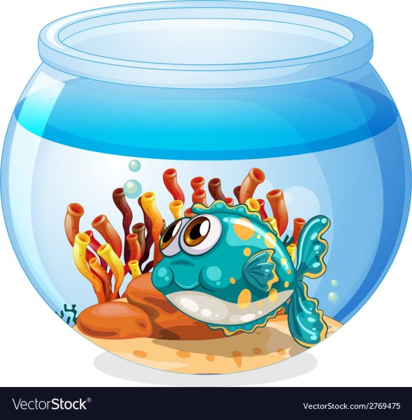 Круглый аквариум с рыбкой вектор