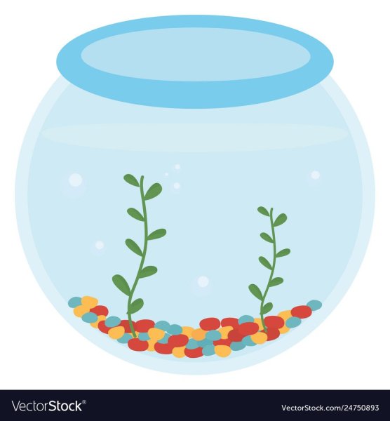 Аквариум на прозрачном фоне без рыбок