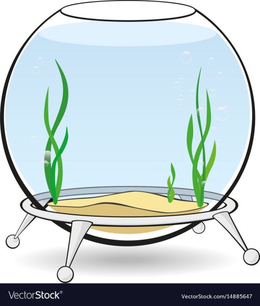 Аквариум без рыбок для детей