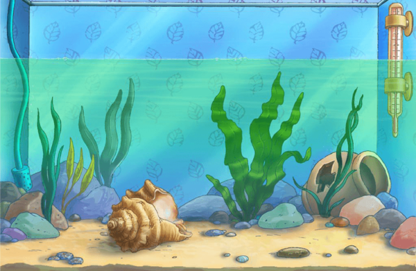 Аквариум рисунок