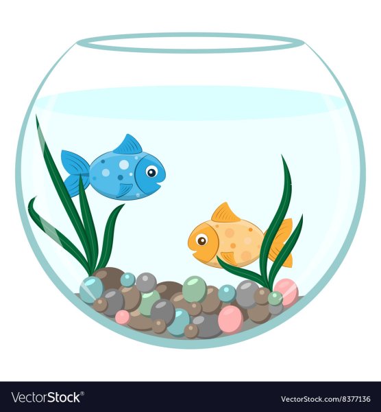 Рыбки в круглом аквариуме для детей