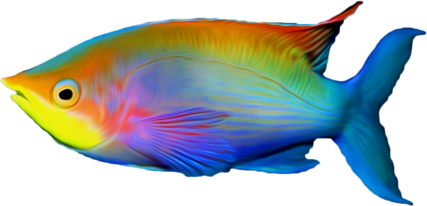 Рыбка на прозрачном фоне