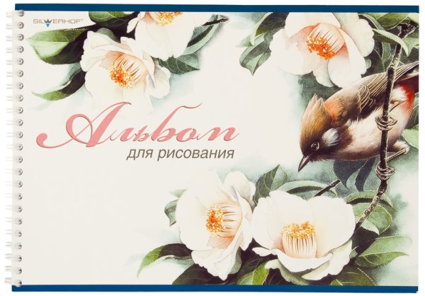 Старинный альбом для рисования