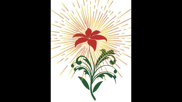 Аленькии ЦВЕТОЧЕКНА белом фоне