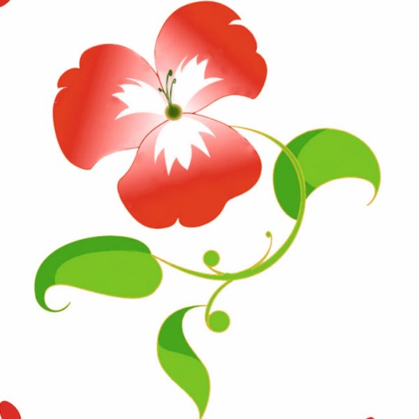 Аленький цветочек на белом фоне