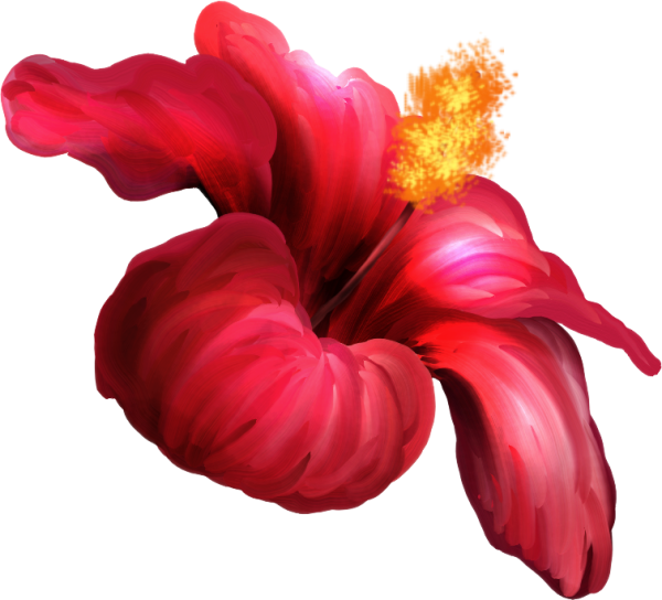 Волшебный цветок на прозрачном фоне