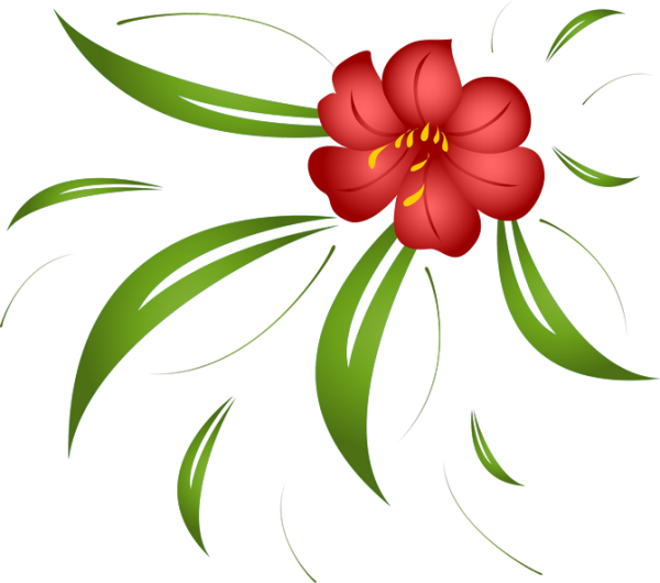 Аленький цветочек на белом фоне