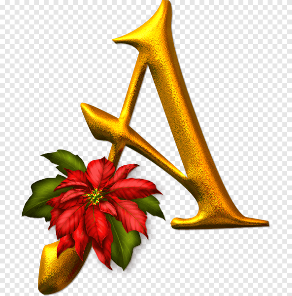 Буквы с цветами на прозрачном фоне