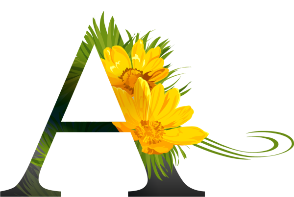 Буквы в цветах