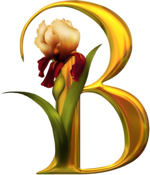 Алфавит в виде цветов