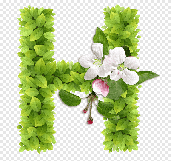 Буква н из цветов