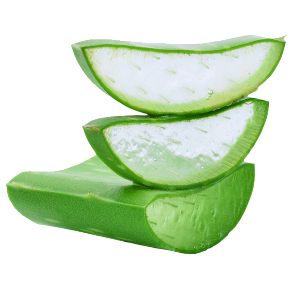 Алоэ кусочки