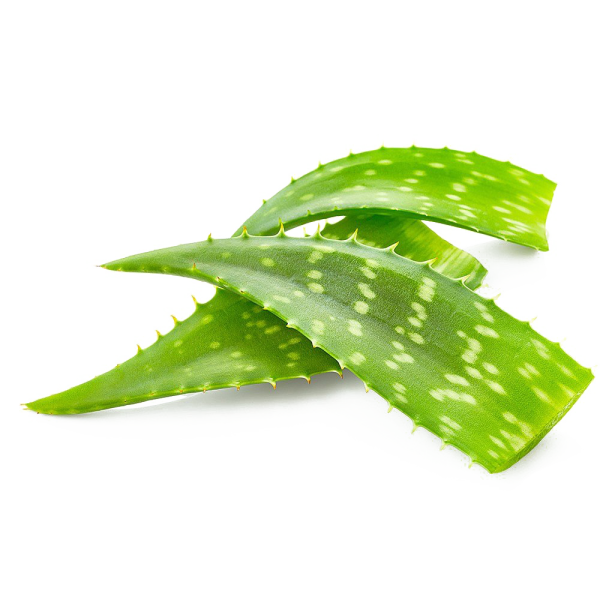 Aloe barbadensis (Aloe Vera) Leaf Juice