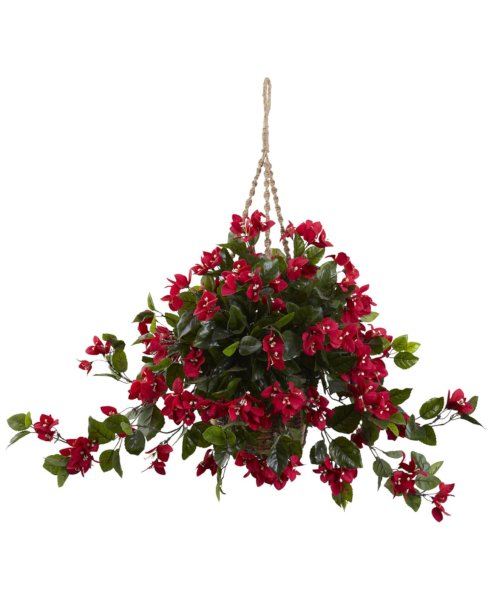 Ампельный цветок с красными цветами