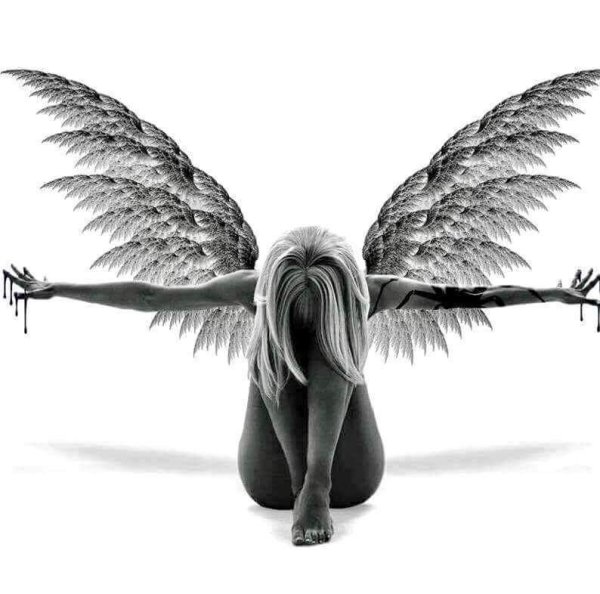 Силуэт девушки с крыльями