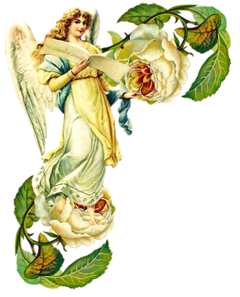 Весенние ангелы на прозрачном фоне