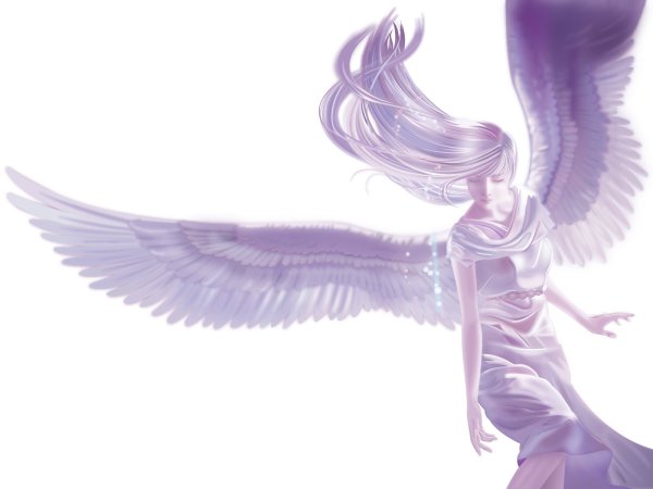 Ангел на прозрачном фоне