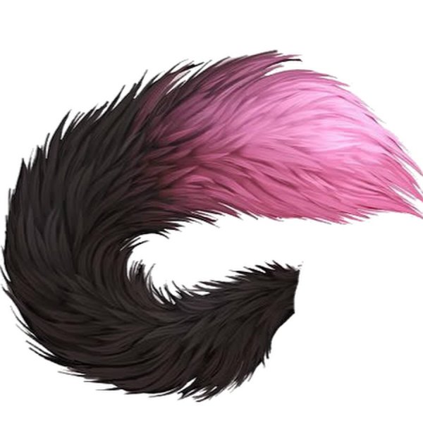 Кошачий хвост без фона