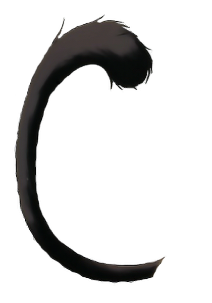 Кот с хвостом