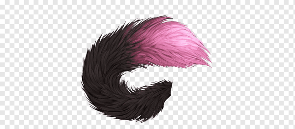 Хвост на белом фоне