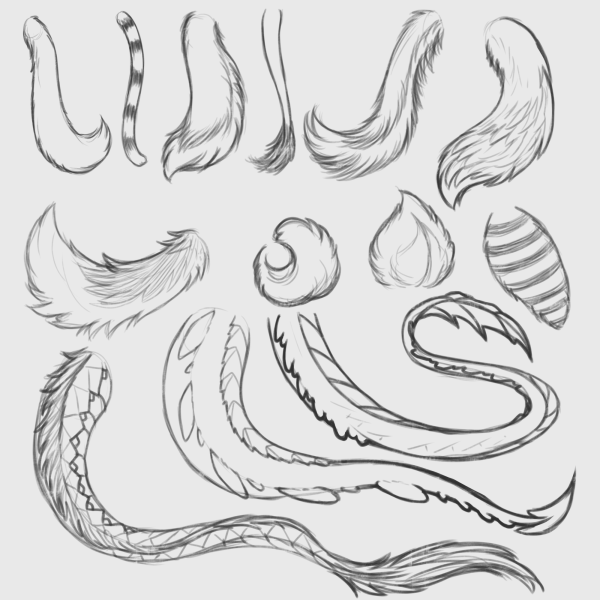 Хвост скетч