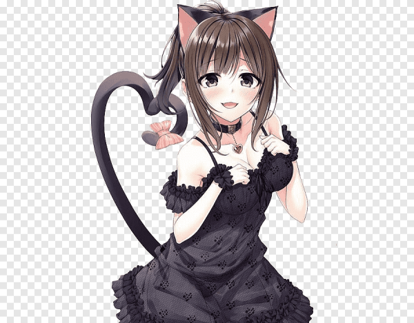 Аниме девушки кошки