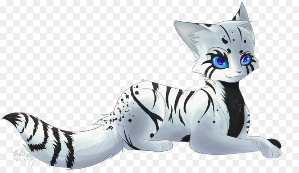 Коты Воители белый тигр