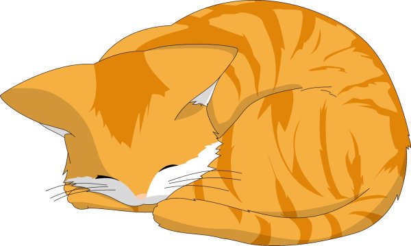 Кот рисунок