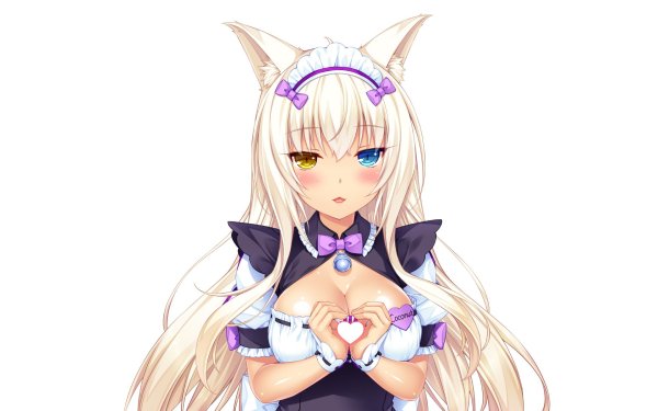 Кошачий рай Коконат