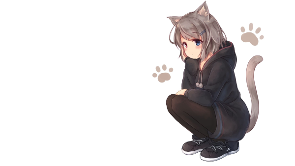 Котик на белом фоне аниме