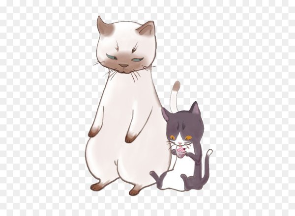 Котик арт на белом фоне