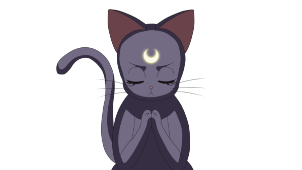 Кот из аниме