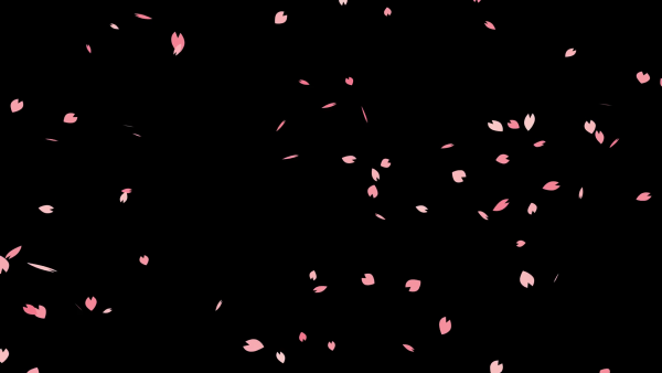 Листья Сакуры