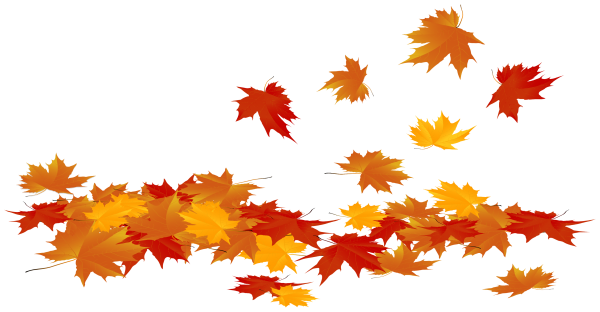 Осенние листья на прозрачном фоне