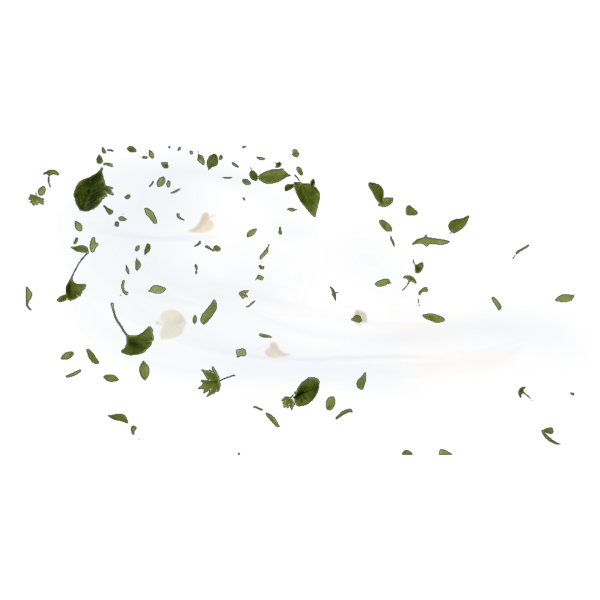 Летающие листья на прозрачном фоне